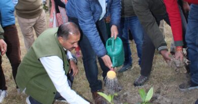 जिलाधिकारी ने जोशियाड़ा बैराज के निकट स्थापित रूद्राक्ष वाटिका का भ्रमण कर रूद्राक्ष एवं देवदार के पौधे किये रोपित