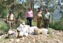 मा0 न्यायालय के आदेश पर मोरी पुलिस ने आबकारी अधिनियम से सम्बन्धित माल मुकदमाती को किया नष्ट