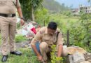 उत्तरकाशी पुलिस ने वृक्षारोपण कर दिया पर्यावरण संरक्षण का संदेश