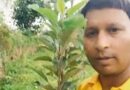 बंजर खेतों में खिला आत्मनिर्भरता का सपना, 200 सेब के पेड़ों के बाद अब 5 हजार पौधों का लक्ष्य
