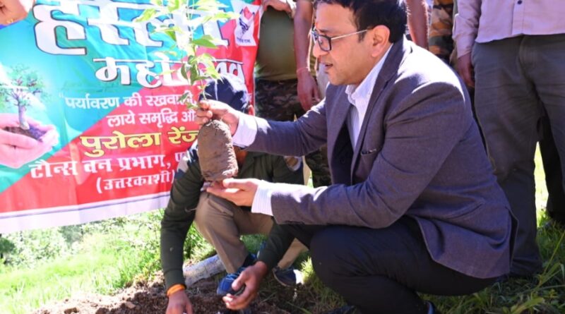 हरेला महोत्सव में जिलाधिकारी ने उपला देवरा गांव में किया वृक्षारोपण, ग्रामीणों से किया संवाद